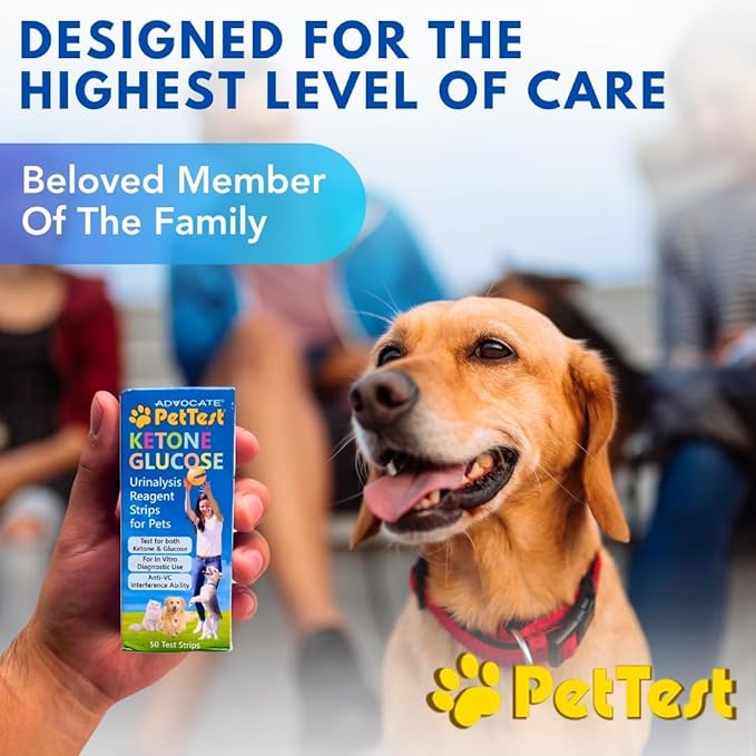 Pet Urine Test Strips Ketone Glucose Strips for Dogs and Cats Urinalysis (50 Strips) Monitoring and Avoid UTI by Advocate Pettest