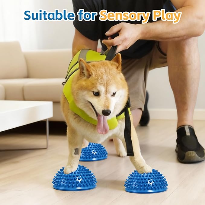 Wobble Cushion Set for Sensory Kids and Balance Training - Disc Plus 4 Pods, Board With Pump, Inflatable Stepping Pads for Adults