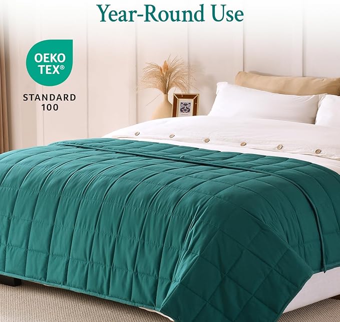 Topblan Weighted Blanket for Adults 20lbs, Soft Cooling Weighted Blankets, Breathable Heavy Blanket with Glass Beads for All Season, Sofa Bed, 60"x80" Queen Size