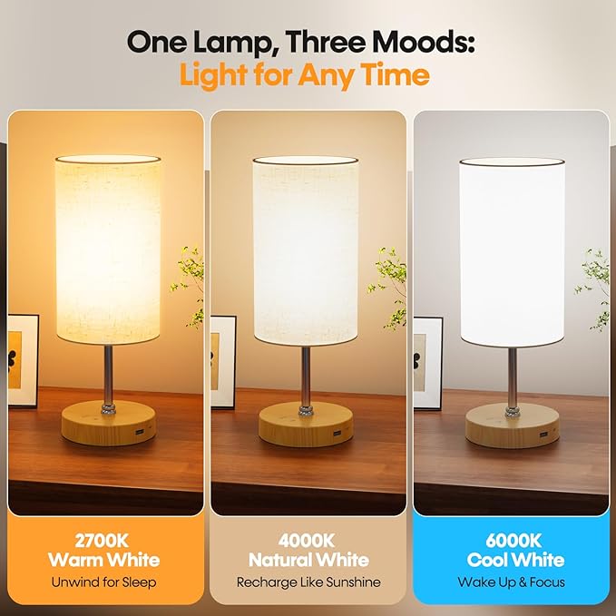 NIORSUN Light Therapy Lamp,10000 Lux Sun Lamp with Remote,3 Color Temperatures & Stepless Dimming,Happy Sunlight Lamp with USB C & A Ports,UV-Free Full Spectrum Light for Home, Office