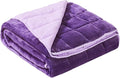 Satwip Weighted Blanket Queen Size 15lbs Fuzzy Warm Flannel Throw Blanket with Soft Breathable Sanded, 60 x 80 inches, Purple