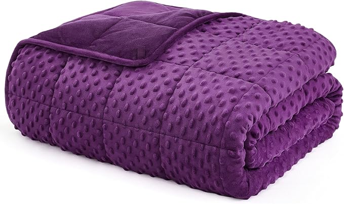 L'AGRATY Weighted Blanket - 48"x72" 10lbs Minky Dots Heavy Blanket with Glass Beads Soft Breathable for All-Season Summer Fall Winter Thick Comfort for Sleeping