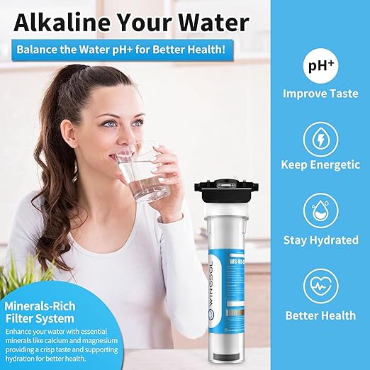 WINGSOL Water Filter for Sink Faucet, Reduce Heavy Metals/Chlorine/PFAS/PFOA/PFOS/Odor/Sediment, NSF/ANSI 42&53 Improve Taste, EZ Change Life Indication Mineral pH+ Under Sink Water Filter (Advanced)