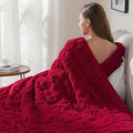 Drewin Weighted Blanket Queen Size 20 lbs, Cozy Sherpa Weighted Blankets with Jacquard Pattern, Super Fluffy Thick Bed Blanket with Ceramic Beads for Sleep Natural and Calming, 60 x 80 inches, Red