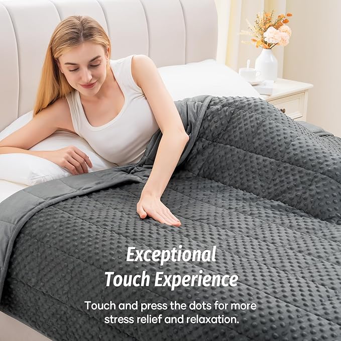 Wemore Minky Dot Weighted Blanket for Adults Queen Size 12 lbs, Soft Cozy Heavy Blanket for Bed and Couch, Breathable Blanket for All-Season with Glass Beads, Dark Grey 60 x 80 inches