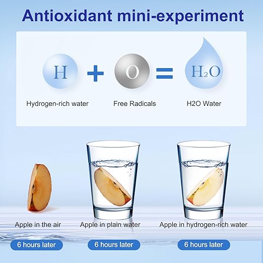 Hydrogen Water Bottle Generator, Glass Portable Hydrogen Water Bottle with SPE PEM Technology Hydrohealth, Ion Bottles Hydrogen Water Ionizer for Office, Home, Travel, Daily Drinking