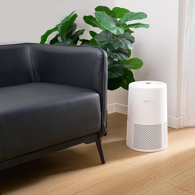 Amazon Basics Air Purifier for Home and Office, With Activated Carbon, 3 Speeds, Timer, Sleep Mode (32db), Energy Star Certificate, Covers Up to 1067 Sq ft, White