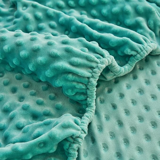 ZIQINPSQ Coral Velvet Fitted Sheet-Thickened Cold-Resistant and Warm Bed Sheets-Soft Velvet Fleece Fitted Sheets with-Elastic All Around. (Aqua, Twin)