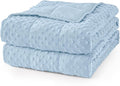 Mr. Sandman Weighted Blanket for Adults Queen Size 20 lbs, Soft Cooling Heavy Minky Blanket for Sleep, Washable Throw Blanket with Glass Beads, 60 x 80 Inches, Light Blue