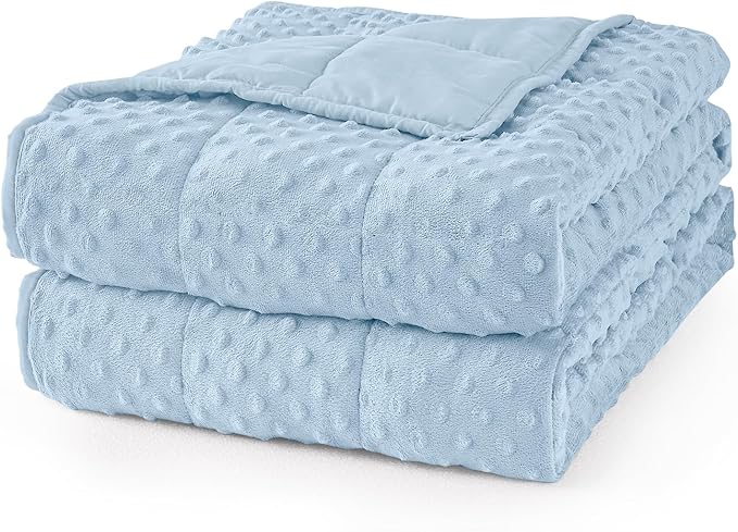 Mr. Sandman Weighted Blanket for Adults Queen Size 20 lbs, Soft Cooling Heavy Minky Blanket for Sleep, Washable Throw Blanket with Glass Beads, 60 x 80 Inches, Light Blue