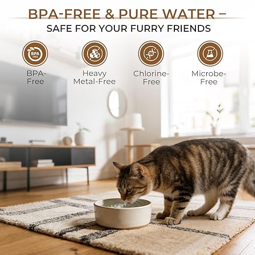 Waken Electric Reverse Osmosis Water Filter Countertop, UV Water Filtration System, 8-Stage RO Filtration Real Time TDS Display, BPA Free, PFAS, Lead & TDS Reduction (Obsidian Black)