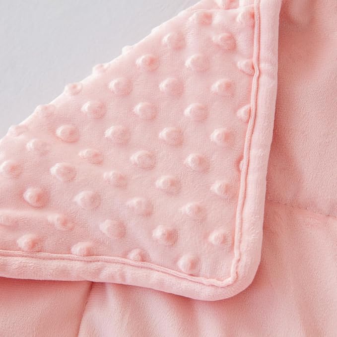 Weighted Blanket with Minky Duvet All Season,Reversible Soft Heavy Weighted Blanket for Adult Pink(7lb,40in*60in)
