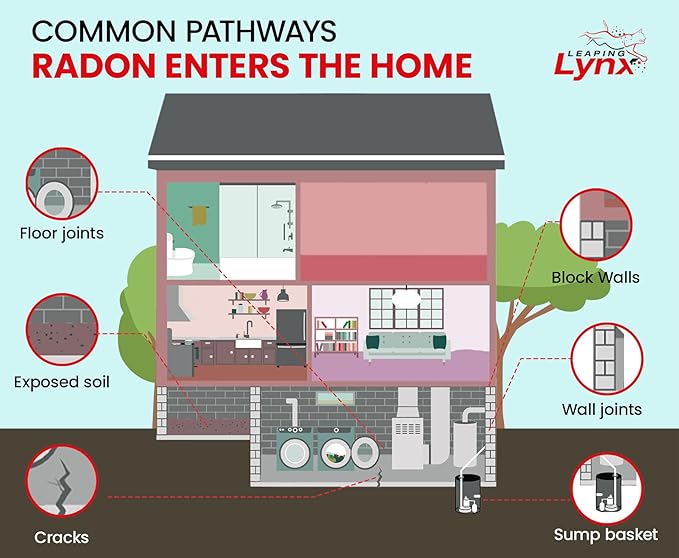 EPA-Approved Radon Test Kit for Home, Lab Analysis Included | Detects Radon Gas Levels in Basements & Living Spaces | Easy-to-Use Air Quality Test with Lab Report & Discounted Shipping| Radon Detector