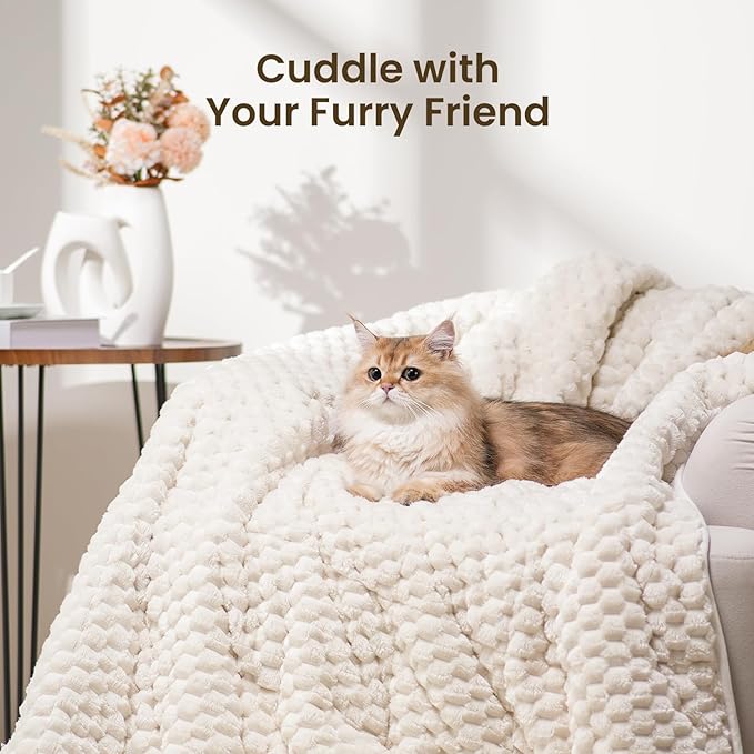 Drewin Weighted Blanket 20lbs, Ultra-Soft Warm Weighted Blanket Queen Size, 3D Jacquard Heavy Blanket for Sleep Natural and Relaxing, Cozy Bed Blanket with Ceramic Beads, Cream White, 60 x 80 inches