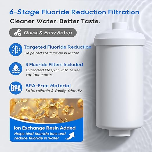 LCF Gravity-fed Water Filter System, 3 Gallons Stainless-Steel System with 6 Filters, Metal Water Level Spigot and Stand, Reduces Chlorine & Fluoride (Fluoride Filters)
