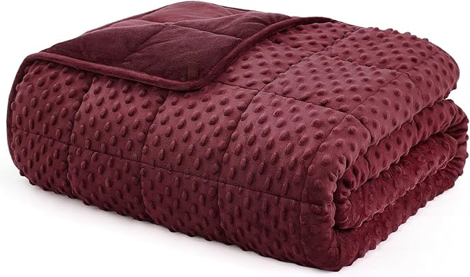 L'AGRATY Weighted Blanket - 36"x48" 3lbs Minky Dots Heavy Blanket with Glass Beads Soft Breathable for All-Season Summer Fall Winter Thick Comfort for Sleeping