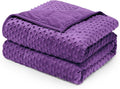 Wemore Minky Dot Weighted Blanket for Adults King Size 20 lbs, Soft Cozy Heavy Blanket for Bed and Couch, Breathable Blanket for All-Season with Glass Beads, Purple 80 x 87 inches