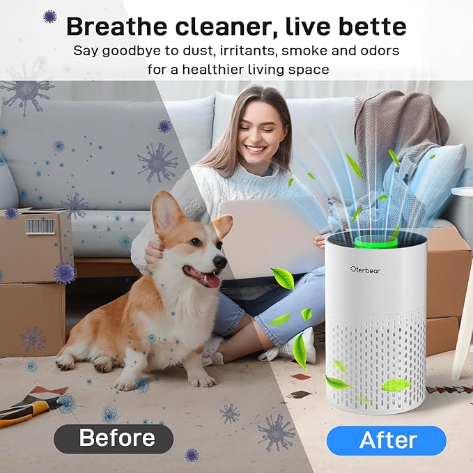 Air Purifiers for Home Bedroom Up to 1250 Ft² - HEPA Air Purifier with Aroma & Sleep Mode - 24dB Small Room Air Purifier for Allergies, Smoke, Dust, Pollen, Pet Dander,4000B,White