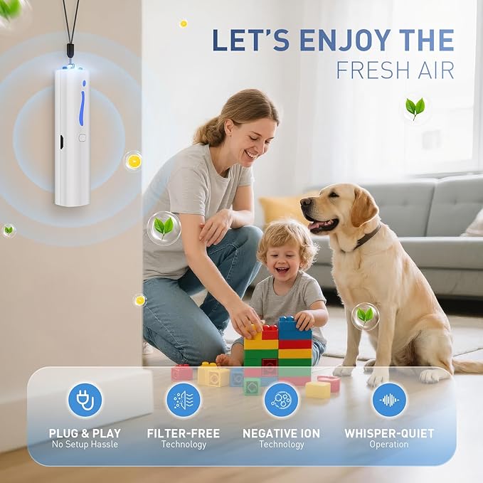 Air Ionizer, Negative Ion Air Purifier for Pet Homes and Small Spaces, Quiet Ozone Free Filterless Air Cleaner for Cat Litter Room, Bathroom, Bedroom, Desk (F2V Gray)