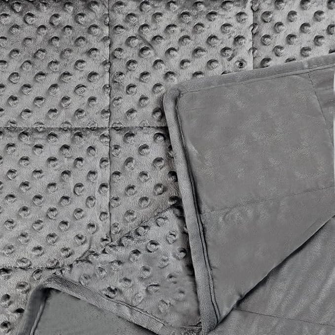 ALANSMA Reversible Weighted Blanket for All Season, Luxury Velvet, Warm and Cool, Adult 20Lb Grey Weighted Blanket, Enjoy Sleeping Anywhere(Grey,60"x80" 20lbs)