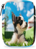 Cute Husky Print Travel Pill Organizer Bag Portable Weekly Pill Box Travel Medicine Organizer 7 Day Pill Case with Zipper for Daily Travel Family Business