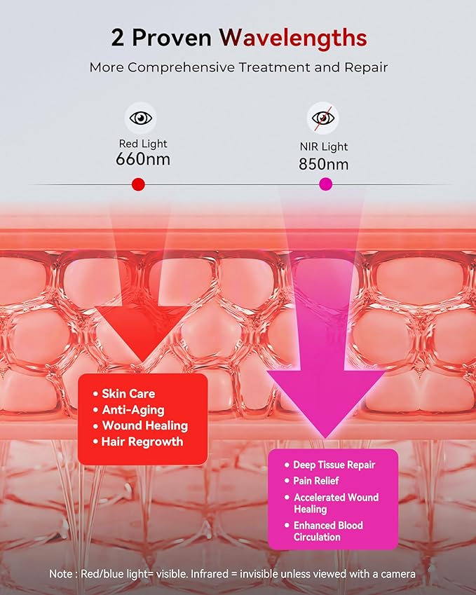 2026 Upgraded Red Light Therapy for Body Face, Dual Chip 660nm 850nm Red Light Panel with 3 Modes, Dimmable & Timer, Infrared Light Therapy for Home Office Gym, Basic 60 LEDs