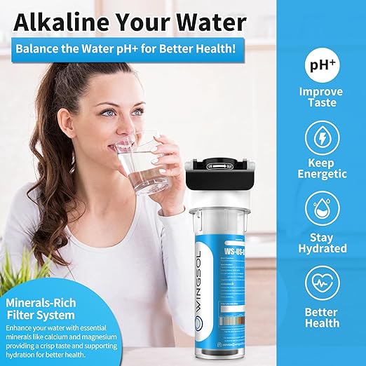 WINGSOL Water Filter for Sink with Faucet, Reduce Heavy Metals/Chlorine/PFAS/PFOA/PFOS/Odor/Sediment, NSF/ANSI 42&53 Improve Taste, EZ Change Life Indication Mineral pH+ Under Sink Water Filter