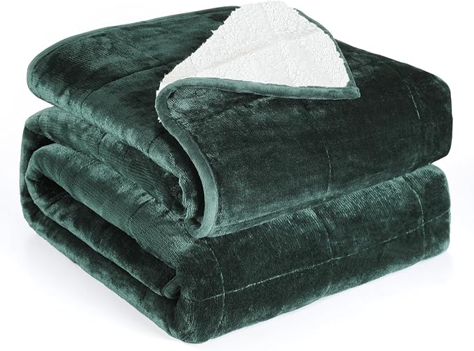 Alomidds Weighted Blanket Queen Size 15lbs 60 x 80 inches,Adult Weighted Blankets with Soft Plush Fleece,Fluffy Thick Warm Sherpa & Cozy Flannel Heavy Blanket for Sofa Bed,Forest Green
