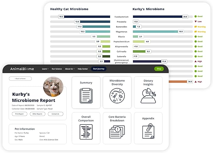 AnimalBiome Cat Gut Health Test – KittyBiome At Home Stool Testing Kit, Feline Fecal Analysis for Digestive Issues, Diarrhea & Allergy Insights w/Personalized Report & Custom Plan (Cats in US)
