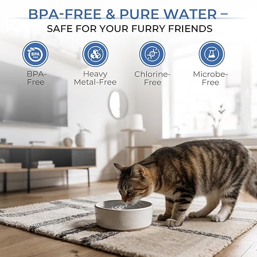 Waken Electric C11S Reverse Osmosis Water Filtration System Countertop 180oz Water Tank 4:1 Pure to Drain 8 Stage RO Filter No Installation for Home Apartment Condo RV