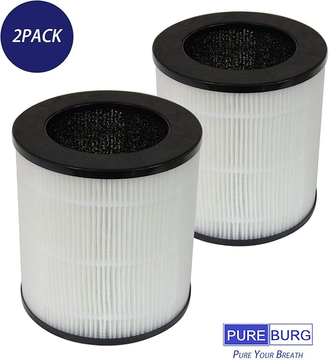 PUREBURG LW-04 Replacement Filter Compatible with INTEY NY-BG60 Air Purifier, 2-Pack H13 True HEPA Activated Carbon 3-Stage Filtration Air Clean Dust VOCs Odor