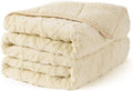 Topblan Weighted Blanket for Adults, 60" x 80" 15lbs, Soft Sherpa Queen Size Heavy Blanket with 3D Jacquard Flannel Fleece Weighted Blankets for Couch and Bed