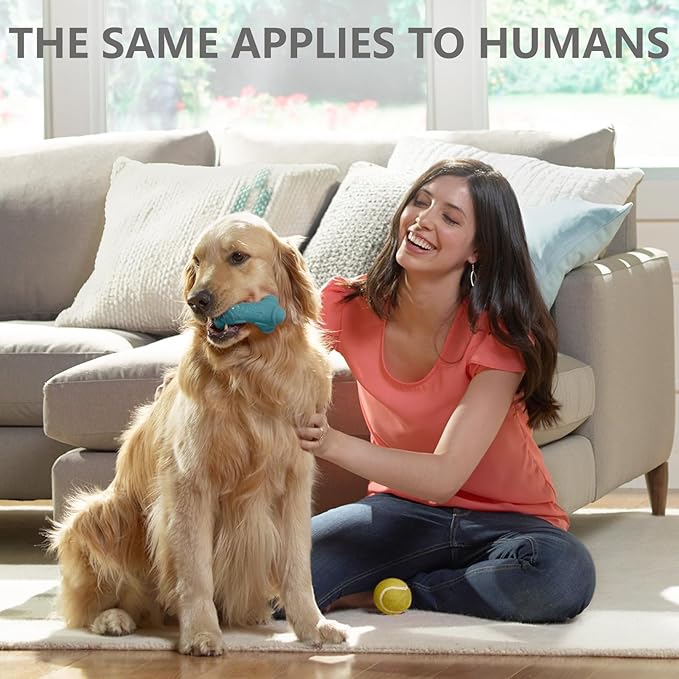 Red Light Therapy for Body, Near Infrared Light Therapy 660nm & 850nm, Suitable for Pets and People, Easy to Set up Portable Handheld Red Light