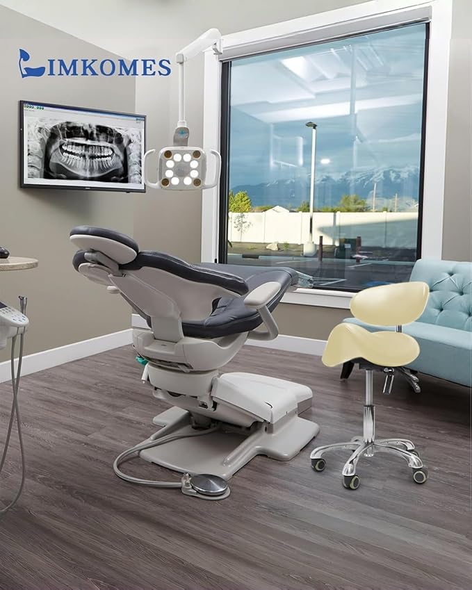 Saddle Stool with Wheels,3-Way Function Rolling Stool with Back Support,Ergonomic Stool Saddle Stool for Hair Stylist for Dentist Salon Tattoo