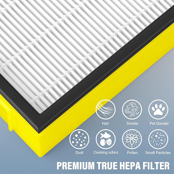 FLT4100 Replacement Filter E Compatible with Guardian Technologies model AC4100, AC4100CA, AC4150BL, AC4150PCA, AC4150P, 2-Pack