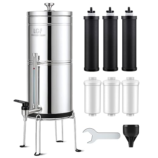 LCF 𝐒𝐢𝐥𝐯𝐞𝐫 𝐈𝐨𝐧𝐬 Enhanced Gravity Water Filter System, Reliable Alternative to Berkey Water Filter System, NSF/ANSI 42&372 Standard, Reduces 99% Chlorine, 6 Filters, Water Level Spigot, 3Gal