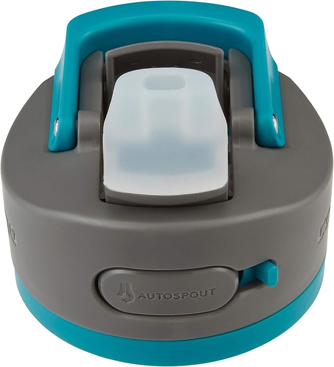 Contigo Ashland 2.0 Leak-Proof Water Bottle with Lid Lock and Angled Straw, Dishwasher Safe, Interchangeable Lid, 24oz, Juniper