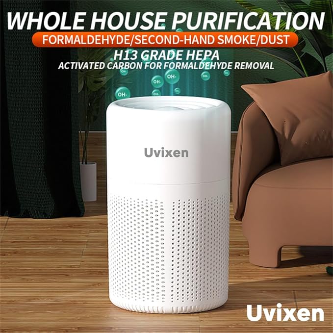 Air Purifiers for Home - Mini Air Purifier with HEPA Air Filter- USB Operated Air Purifier for Bedroom, Car and Living Room- Gift-Ready