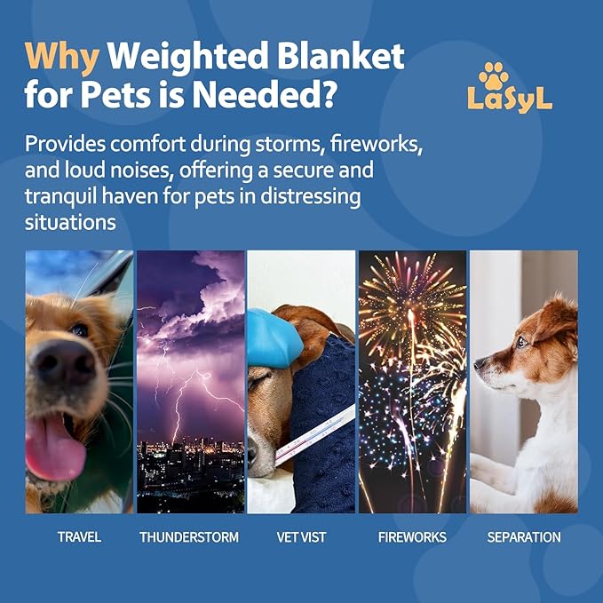 LaSyL Weighted Blanket for Pets | Thunder Blanket for Dogs Anxiety | Premium Soft Minky | Relaxation & Calming & Anti Anxiety | Used in Car, Bed, Couch | Blue Grey Star, Washable Small (24"x32")