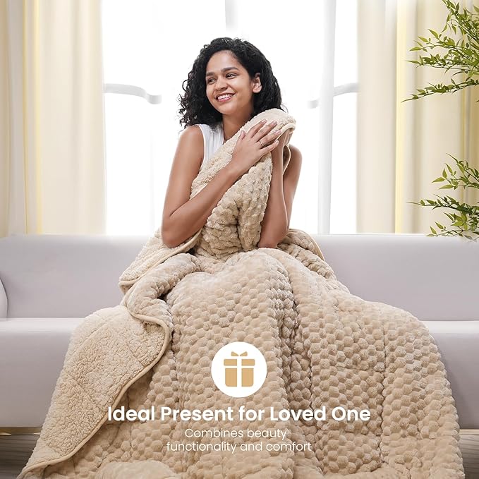 Drewin Weighted Blanket for Adults Queen Size 15lbs, Soft Fuzzy Turtleback Sherpa Weighted Blankets for Sleeping, Cozy Fluffy Heavy Blanket for Couch Bed, 60 x 80 inches, Beige