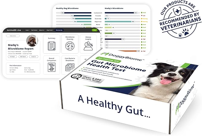 AnimalBiome Dog Gut Health Test – DoggyBiome At Home Stool Testing Kit, Canine Fecal Analysis for Digestive Issues, Diarrhea & Allergy Insights w/Personalized Report & Custom Plan (Dogs Outside US)