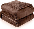 Cottonblue Weighted Blanket for Adults 20lbs Queen Size 60x80 in, Cozy Flannel Sherpa Fleece Weighted Throw Blankets Comfortable for Calming and Relax, Shaggy Bed Sofa Heavy Blankets, Chocolate Brown
