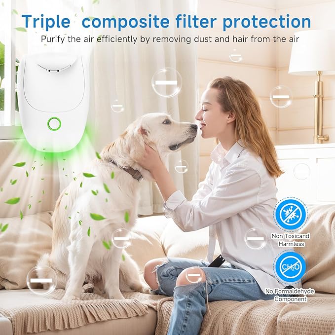 Plug in Air Ionizer, 6 Pack Ion Pure 2-Speed Quiet Mini Negative Ionic Air Purifier, Portable Odor Eliminator for Home, Bedroom, Office & Kitchen, Targets Smoke, Dust Mites & Pet Smell (6pcs)