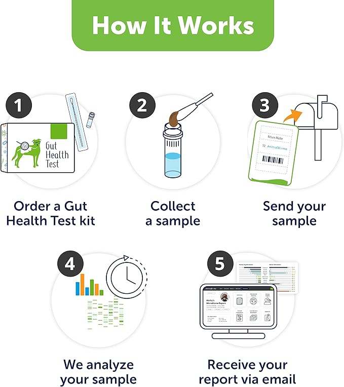 AnimalBiome Dog Gut Health Test – DoggyBiome At Home Stool Testing Kit, Canine Fecal Analysis for Digestive Issues, Diarrhea & Allergy Insights w/Personalized Report & Custom Plan (Dogs in US)