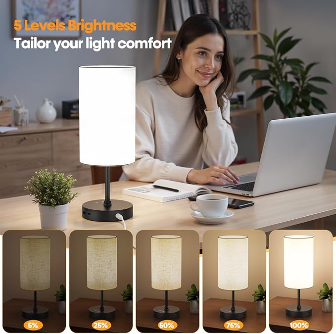 NIORSUN Light Therapy Lamp,10000 Lux Sun Lamp with Remote,3 Color Temperatures & Stepless Dimming,Happy Sunlight Lamp with USB C & A Ports,UV-Free Full Spectrum Light for Home,Office