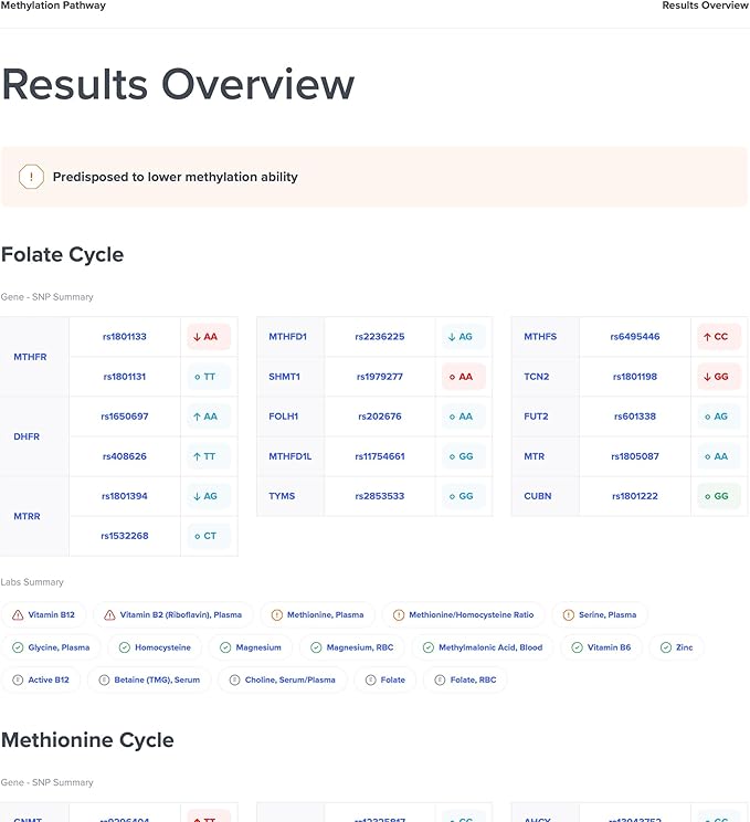 Genetic Methylation Test Kit | Methylation Pathway Including MTHFR, COMT, MTR, MTRR, CBS, BHMT Gene Variants | Personalized Recommendations to Optimize Methylation