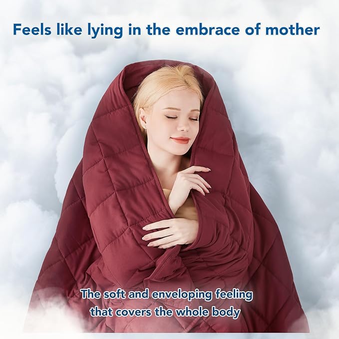 Topcee Weighted Blanket for Adults (25 lbs, 60" x 80") Queen Size Soft Cooling Heavy Blanket Sleeping, Apply to 240-260 lbs Body, Thick Breathable Blanket with Glass Bead, Easy Care