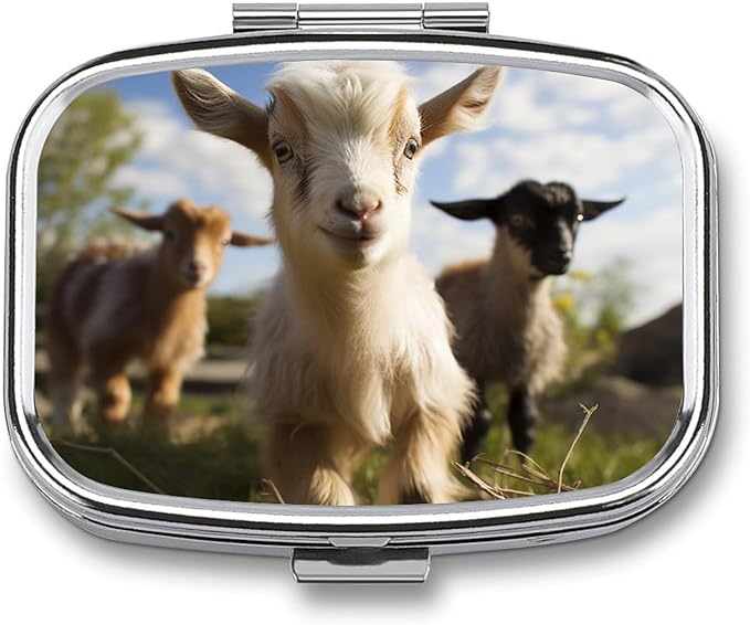 Cute Goat Pill Box 2 Compartment Portable Pill Case Daily Square Pill Organizer for Pocket Purse Daily Medicine Container to Hold Vitamins Fish Oil Travel Gifts