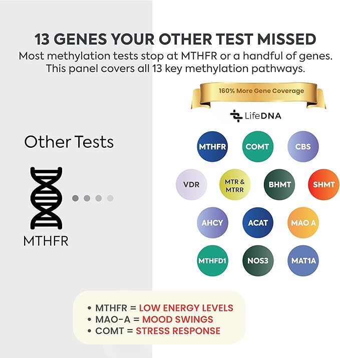 Methylation Gene Test MTHFR COMT VDR Analysis 3-Pack Kit for Families - 12 Methylation Genes Variants