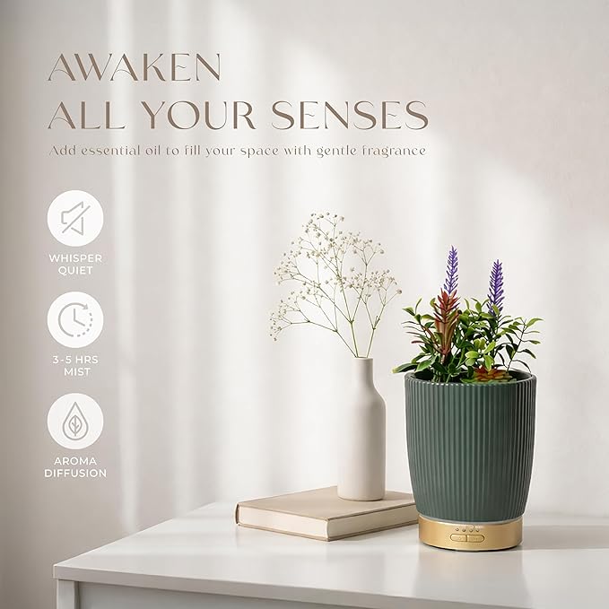 Earnest Living Essential Oil Diffuser Ceramic Artificial Succulent Plants Potted Diffuser 100 ml for Lavender Essential Oils Timers Night Lights and Auto Off Humidifier Aromatherapy Diffusers for Gift